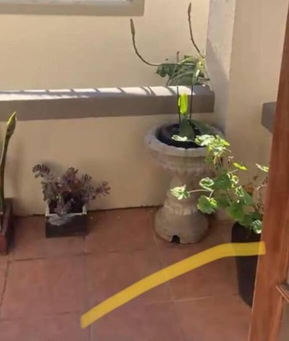 1-Bedroom Sea Point Gem - Perfect Location! Cape Town Exterior foto